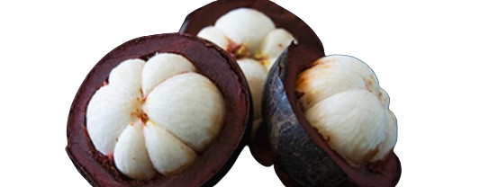 Lanta Flat Belly Shake Mangosteen